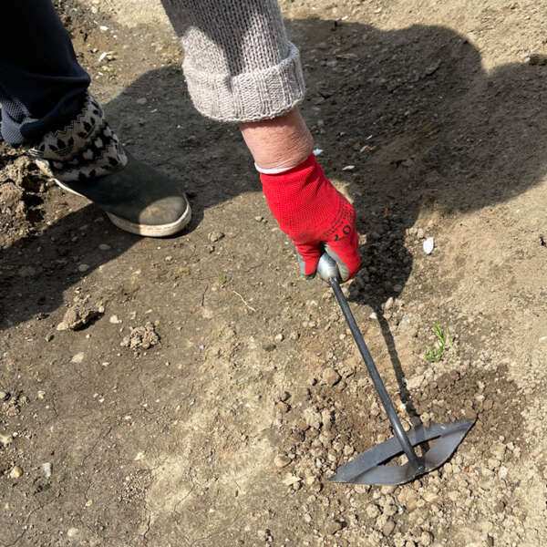 Image_2
