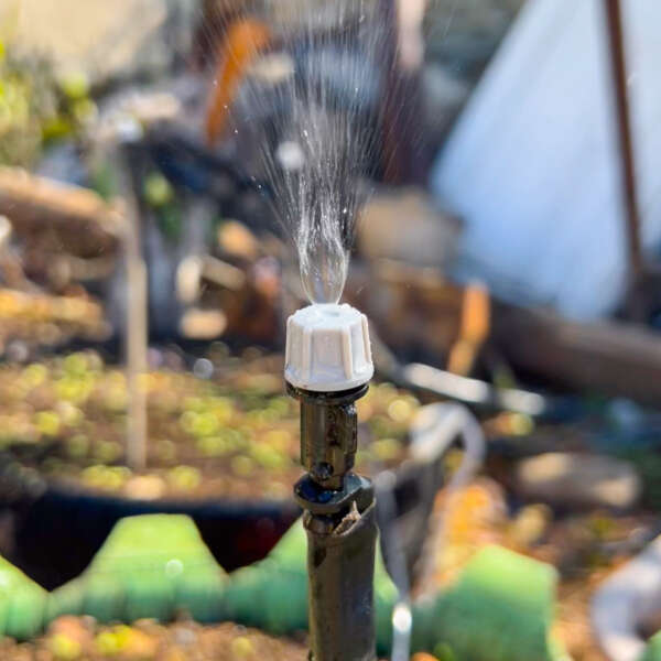Image_4