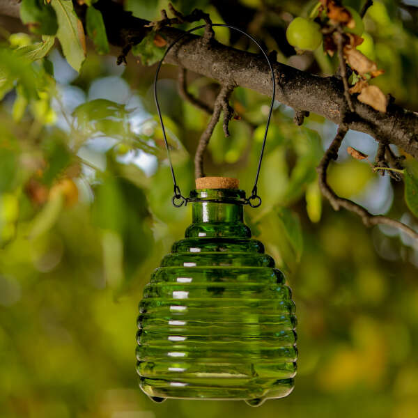 Image_1
