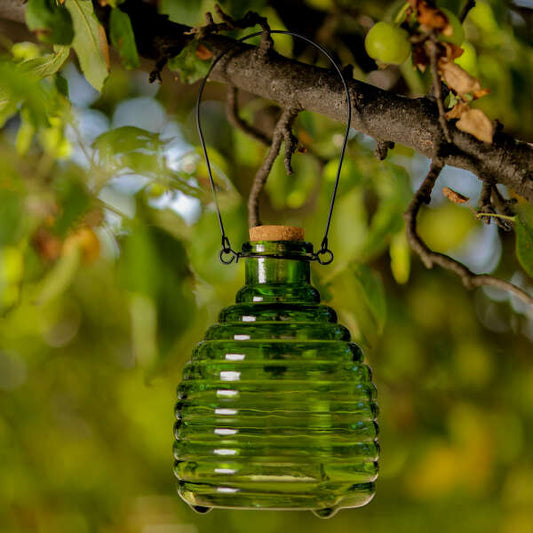 Image_1