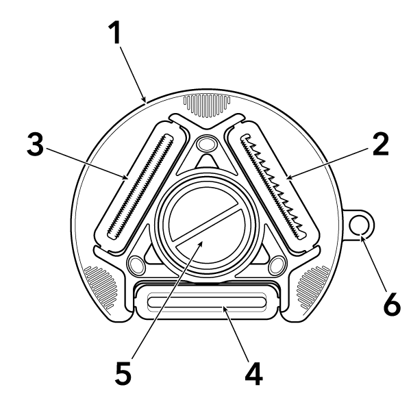Image_6
